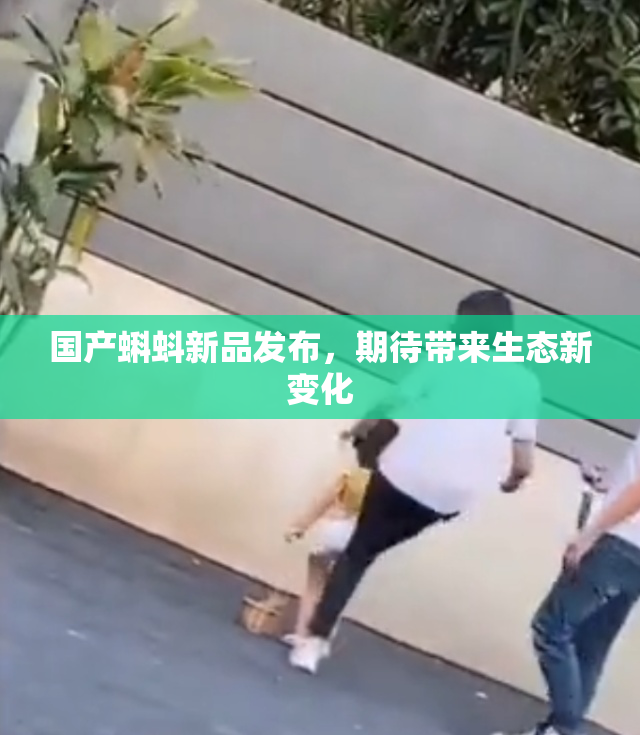 国产蝌蚪新品发布，期待带来生态新变化