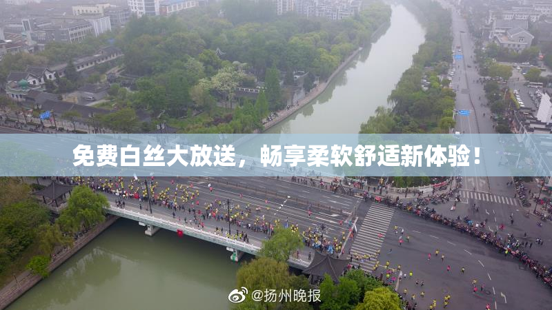 免费白丝大放送，畅享柔软舒适新体验！