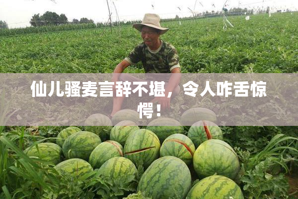 仙儿骚麦言辞不堪，令人咋舌惊愕！