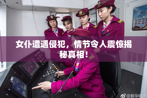 女仆遭遇侵犯，情节令人震惊揭秘真相！