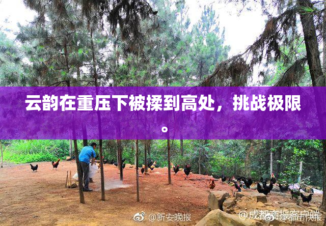 云韵在重压下被揉到高处，挑战极限。
