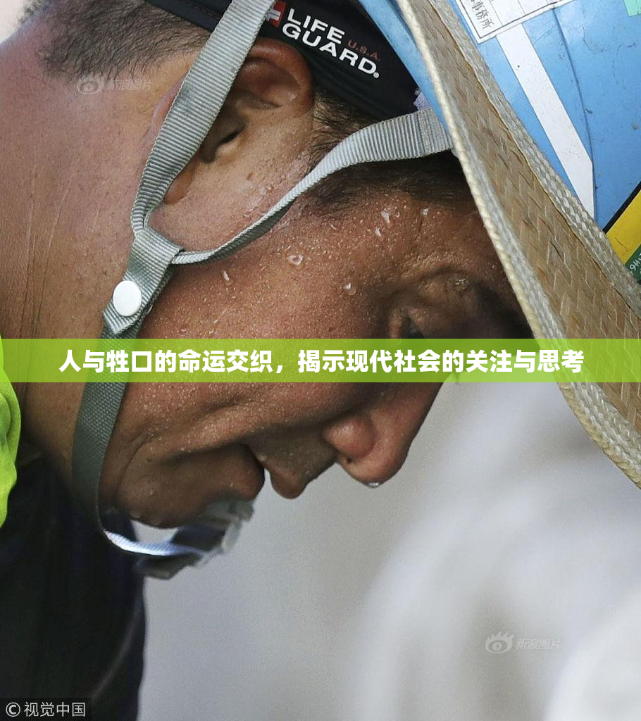 人与牲口的命运交织，揭示现代社会的关注与思考