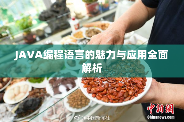 JAVA编程语言的魅力与应用全面解析