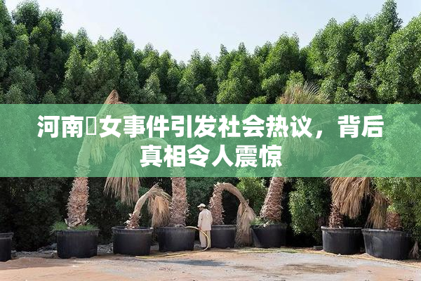 河南婬女事件引发社会热议，背后真相令人震惊