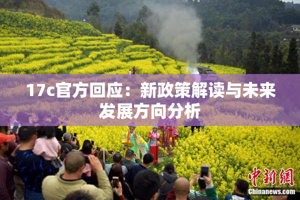 17c官方回应：新政策解读与未来发展方向分析