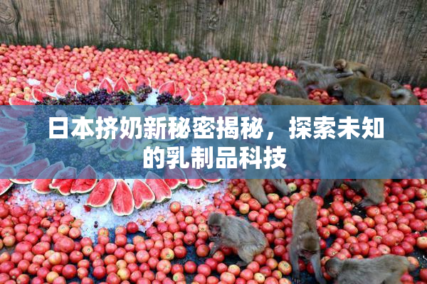 日本挤奶新秘密揭秘，探索未知的乳制品科技