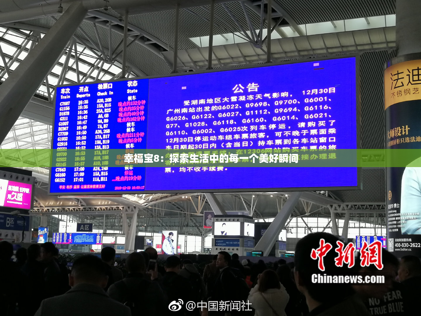 幸福宝8：探索生活中的每一个美好瞬间