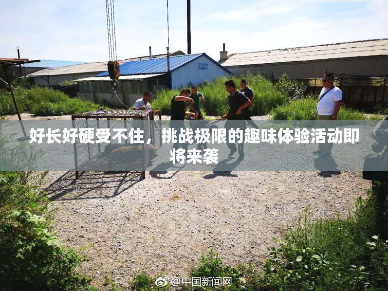 好长好硬受不住，挑战极限的趣味体验活动即将来袭