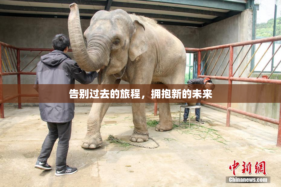 告别过去的旅程，拥抱新的未来