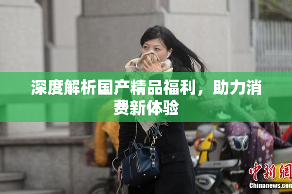 深度解析国产精品福利，助力消费新体验