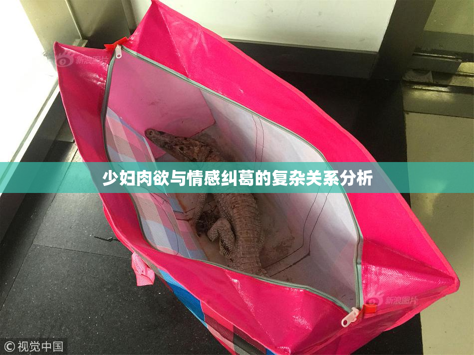 少妇肉欲与情感纠葛的复杂关系分析