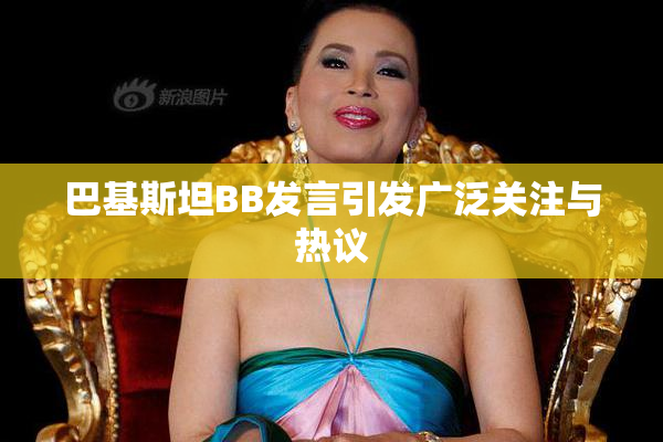 巴基斯坦BB发言引发广泛关注与热议