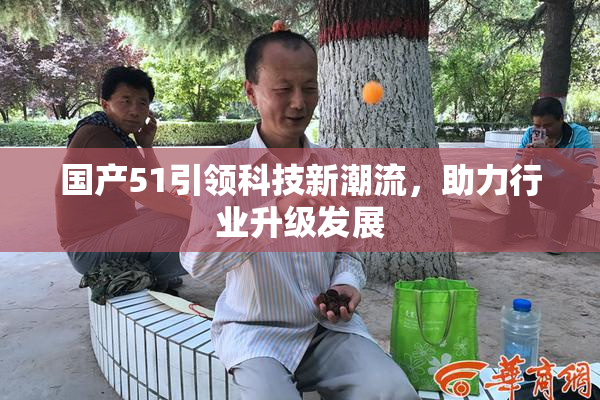 国产51引领科技新潮流，助力行业升级发展
