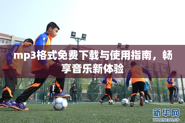 mp3格式免费下载与使用指南，畅享音乐新体验