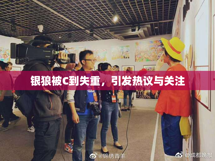 银狼被C到失重，引发热议与关注
