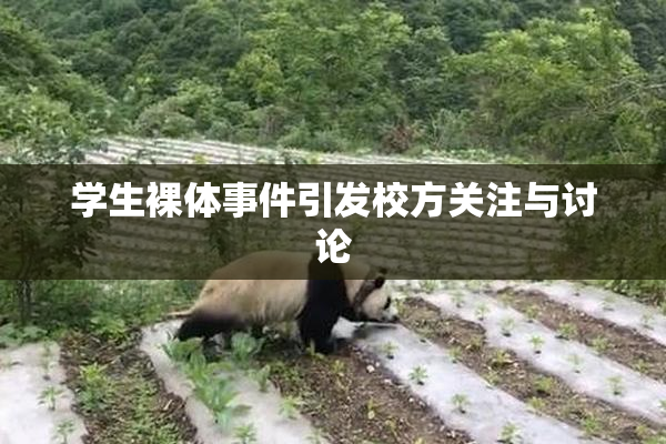 学生裸体事件引发校方关注与讨论