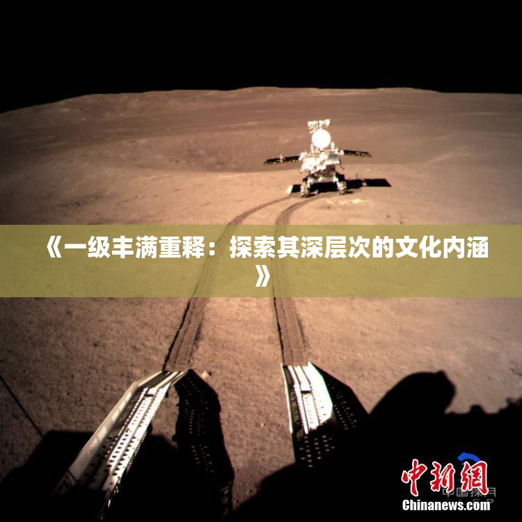 《一级丰满重释：探索其深层次的文化内涵》