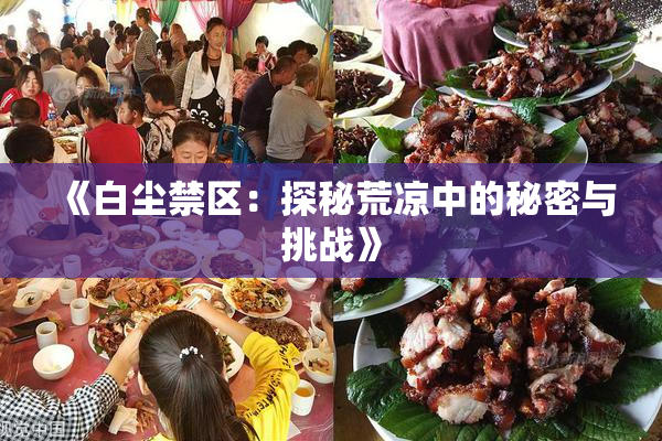 《白尘禁区：探秘荒凉中的秘密与挑战》