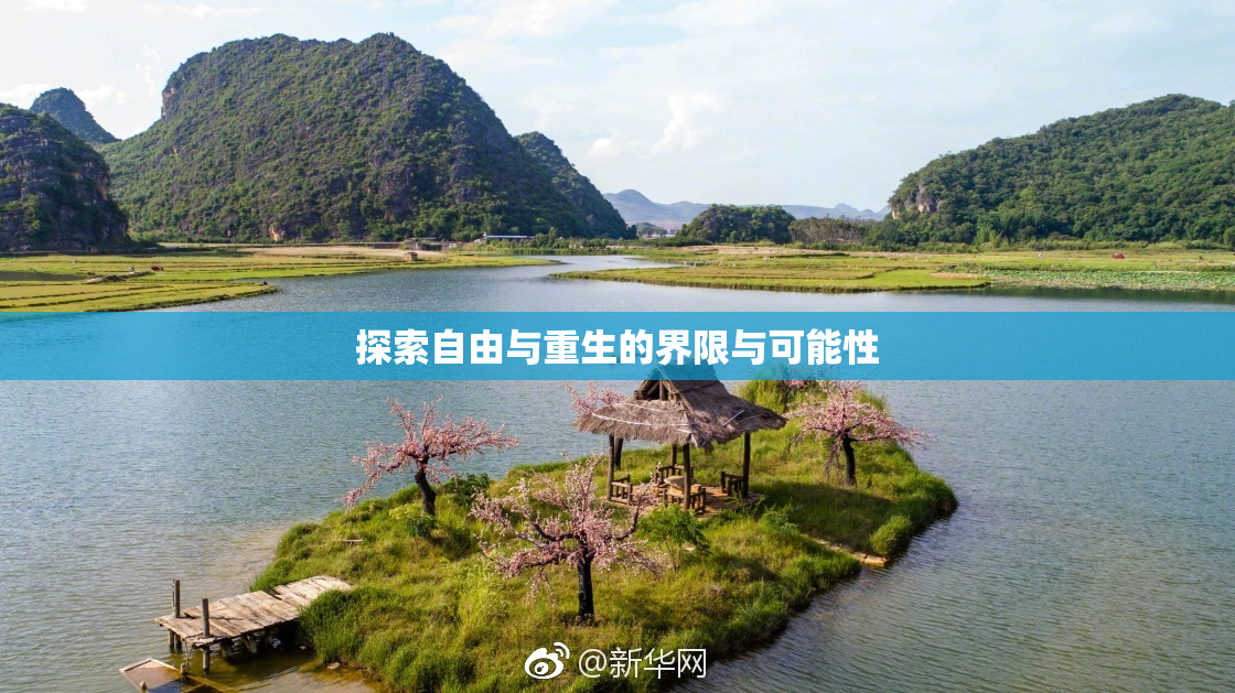 探索自由与重生的界限与可能性