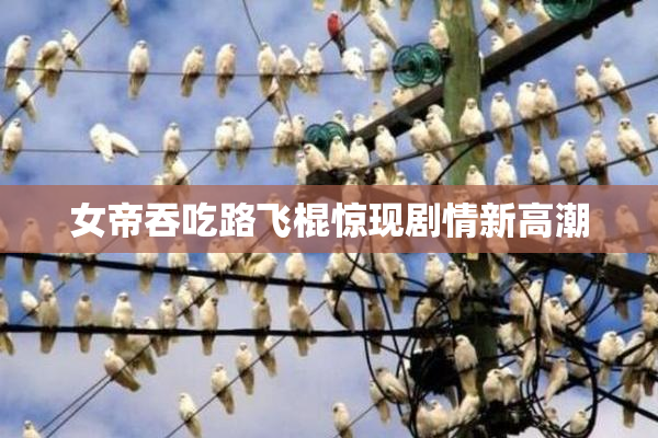 女帝吞吃路飞棍惊现剧情新高潮
