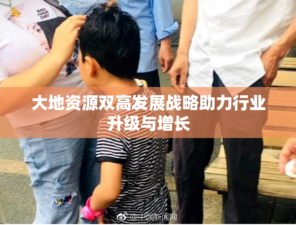 大地资源双高发展战略助力行业升级与增长