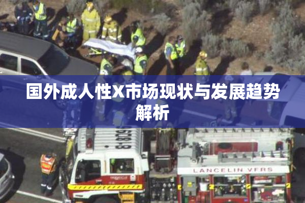 国外成人性X市场现状与发展趋势解析