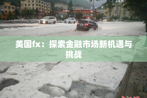 美国fx：探索金融市场新机遇与挑战