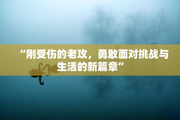 “刚受伤的老攻，勇敢面对挑战与生活的新篇章”