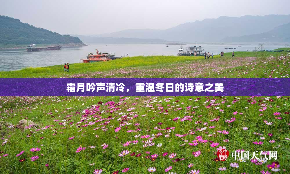 霜月吟声清冷，重温冬日的诗意之美
