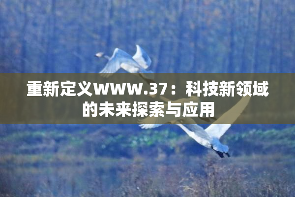 重新定义WWW.37：科技新领域的未来探索与应用