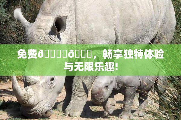 免费🔞‌🍌，畅享独特体验与无限乐趣!
