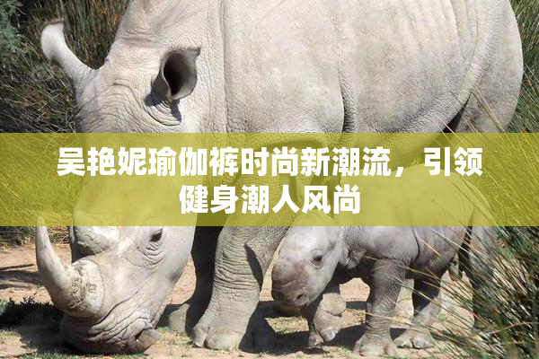 吴艳妮瑜伽裤时尚新潮流，引领健身潮人风尚