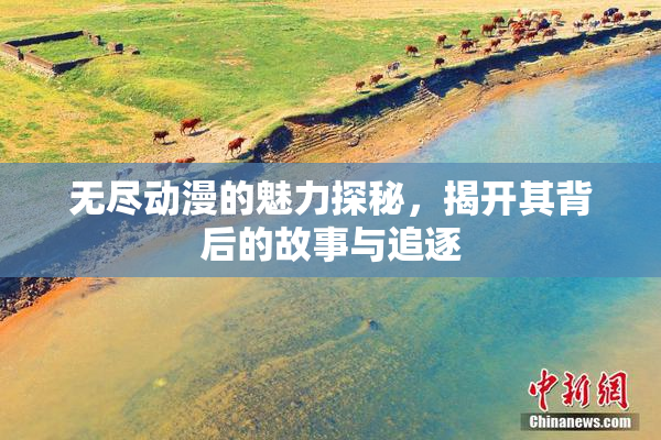 无尽动漫的魅力探秘，揭开其背后的故事与追逐