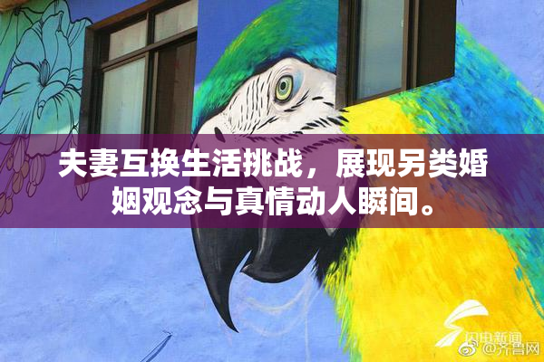 夫妻互换生活挑战，展现另类婚姻观念与真情动人瞬间。