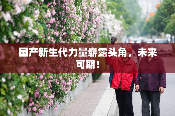国产新生代力量崭露头角，未来可期！
