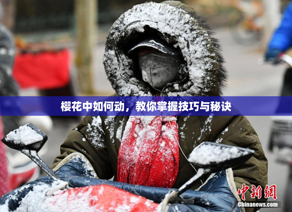樱花中如何动，教你掌握技巧与秘诀