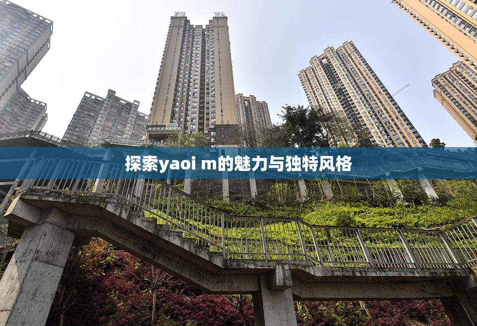 探索yaoi m的魅力与独特风格