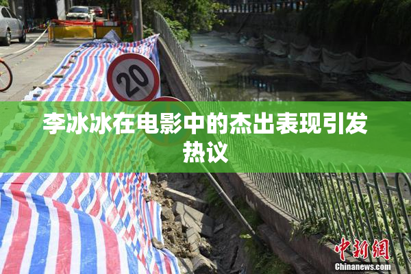 李冰冰在电影中的杰出表现引发热议