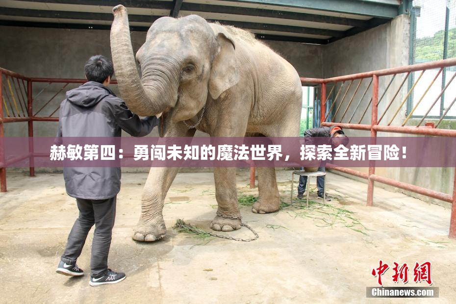 赫敏第四：勇闯未知的魔法世界，探索全新冒险！