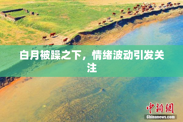 白月被躁之下，情绪波动引发关注