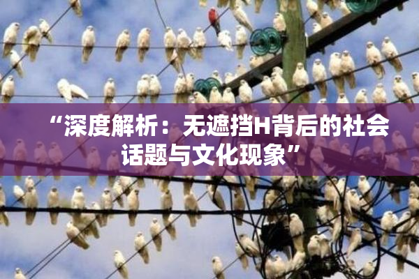 “深度解析：无遮挡H背后的社会话题与文化现象”