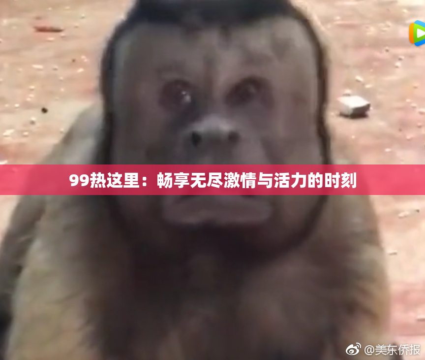 99热这里：畅享无尽激情与活力的时刻