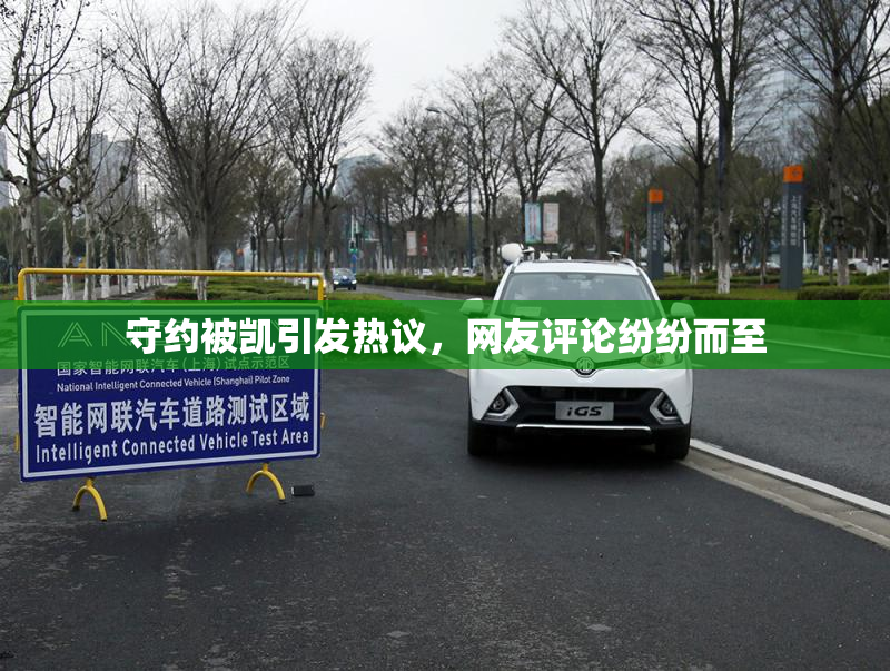 守约被凯引发热议，网友评论纷纷而至