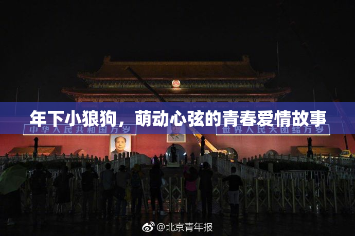 年下小狼狗，萌动心弦的青春爱情故事