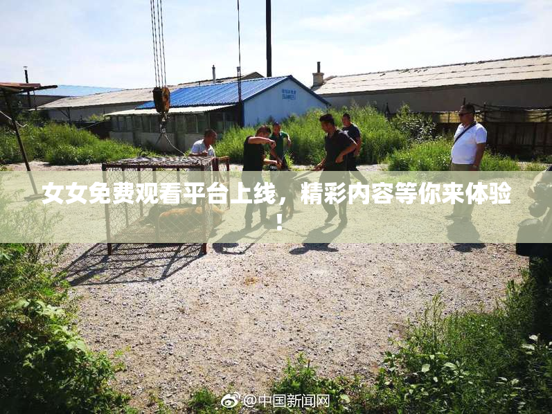 女女免费观看平台上线，精彩内容等你来体验！