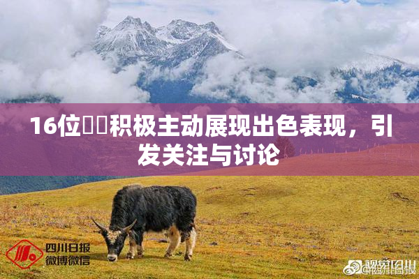 16位妺妺积极主动展现出色表现，引发关注与讨论