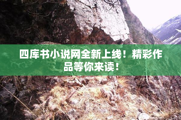四库书小说网全新上线！精彩作品等你来读！
