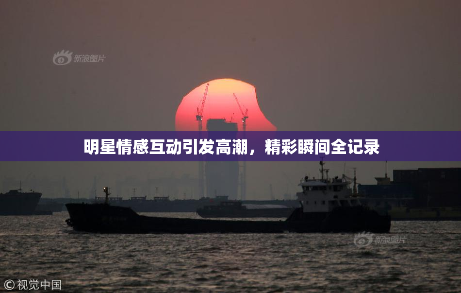 明星情感互动引发高潮，精彩瞬间全记录
