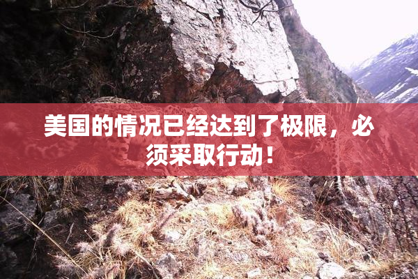 美国的情况已经达到了极限，必须采取行动！
