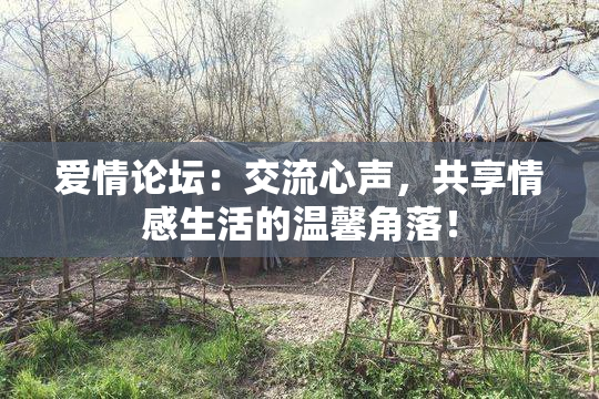 爱情论坛：交流心声，共享情感生活的温馨角落！